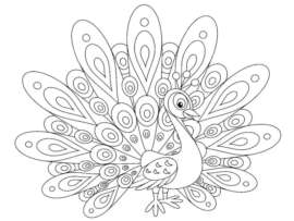 15 Peacock Coloring Pages for Kids to Have Feathery Fun