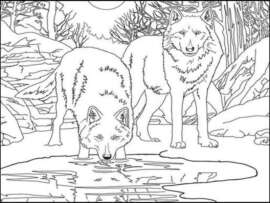 15 Creative Wolf Coloring Pages to Entertain Kids