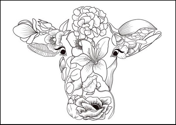 Cow Face Coloring Pages