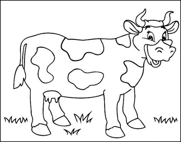 Cow Cartoon Coloring