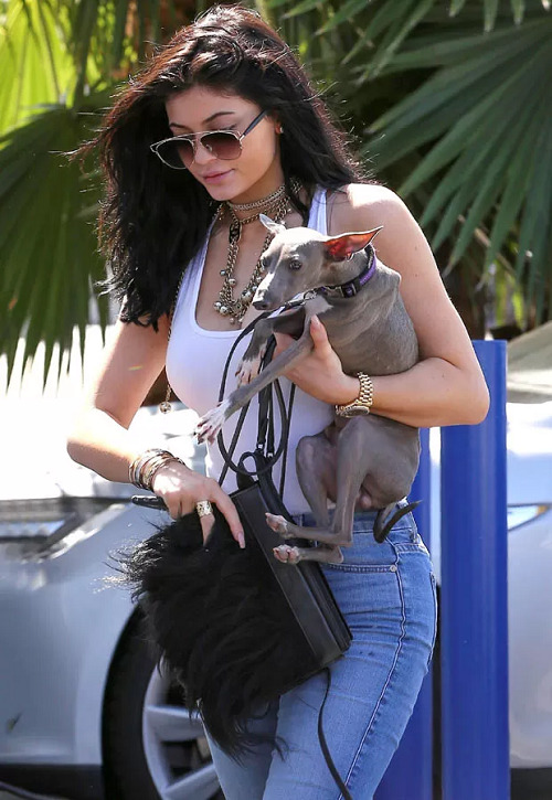 Kylie Jenner With Her Pet