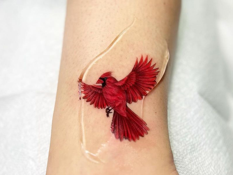 Cardinal Tattoo Designs