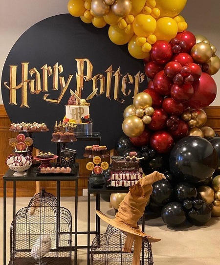 Harry Potter Birthday Party Decorations