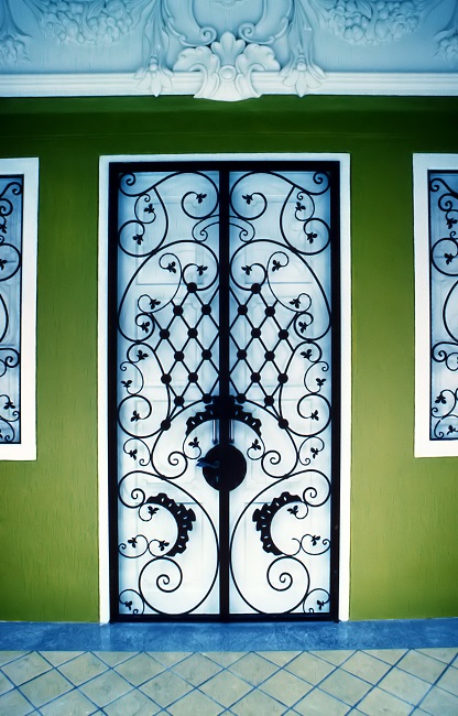 Iron Grill Design for the Main Door