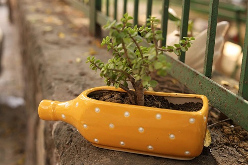 Bottle Plant Pot Design