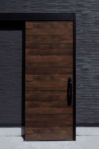 Living Room Door Design Plywood