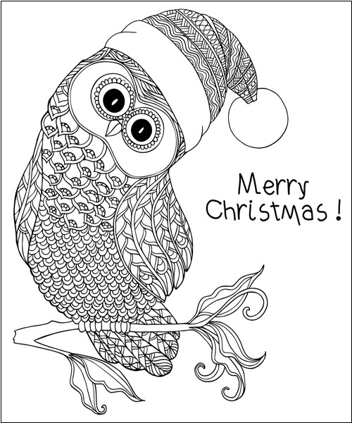 Christmas Owl Image