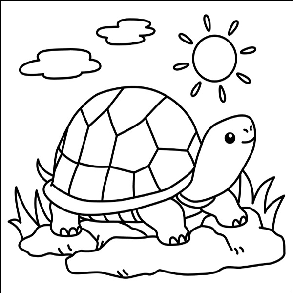 Cool Turtle Coloring Sheet