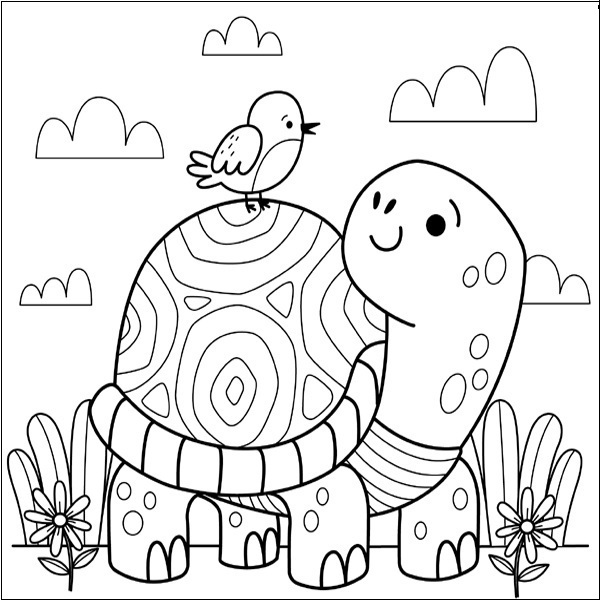 Cute Turtle Outlines Coloring Page