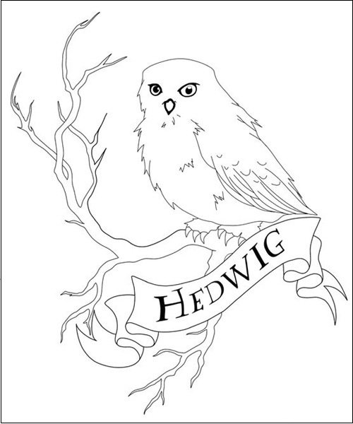 Hedwig Coloring Page