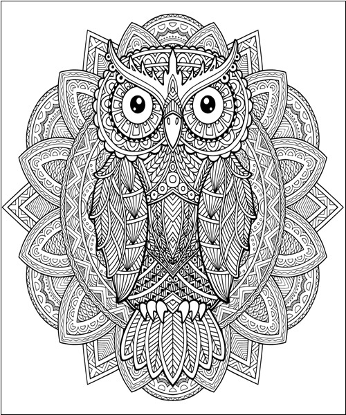 Owl Mandala Coloring Page