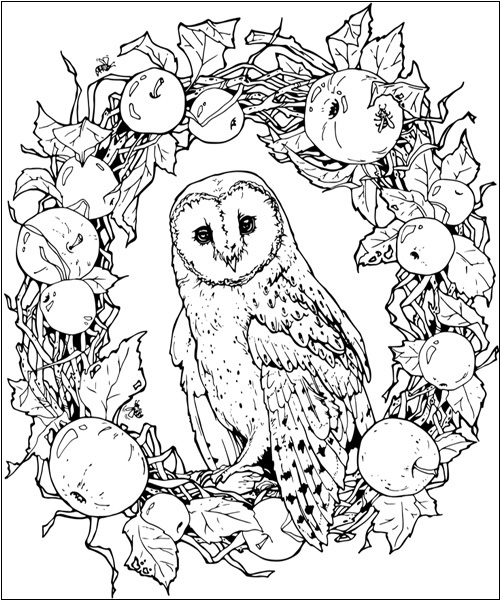 Printable Owl Picture in a Wreath