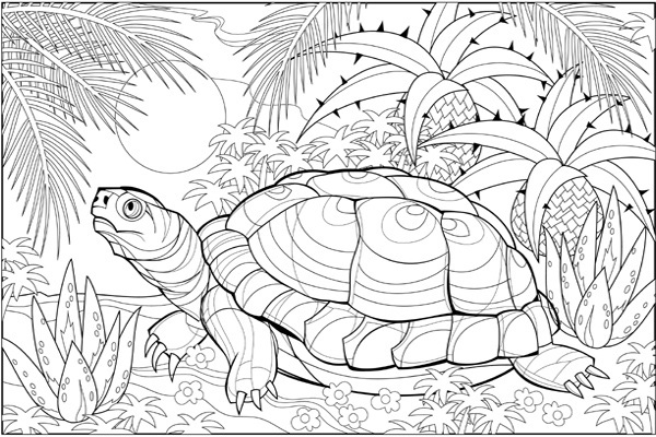 Realistic Sea Turtle 