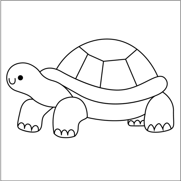 Simple Turtle Picture 