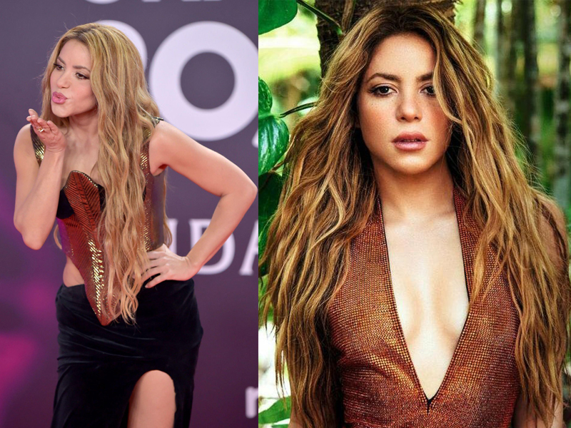 Shakira Hairstyles Gallery