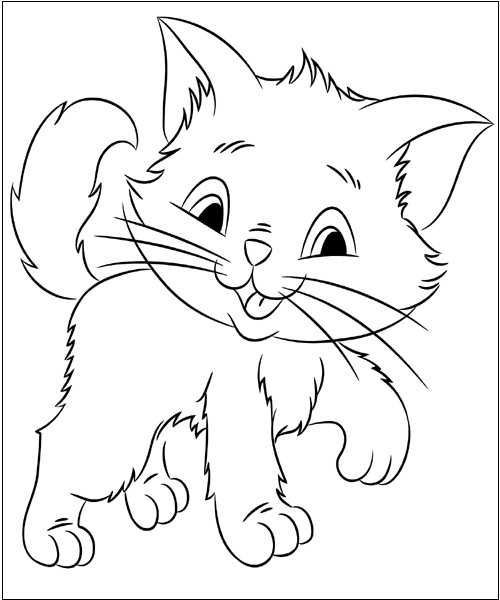 how to color a kitten