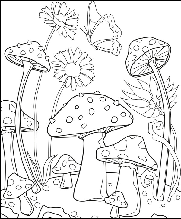 Flower And Mushroom 