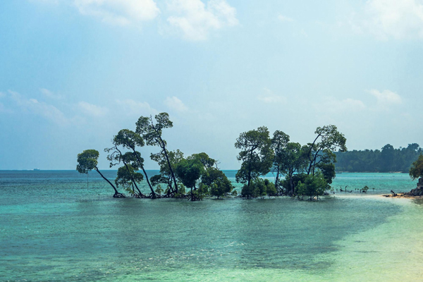 Andaman and Nicobar Islands, romantic scenery of this spot makes it perfect for a honeymoon in India in January