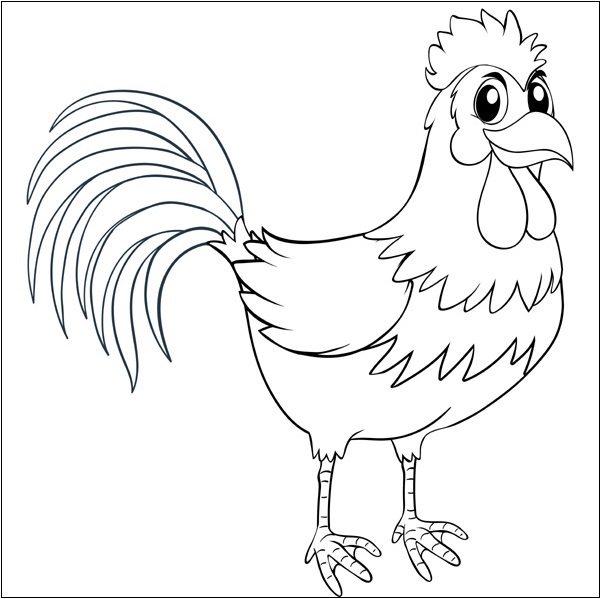 Rooster Outline Picture 
