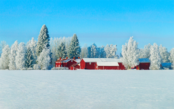 Lapland Finland Best Couple's Christmas Vacation Idea
