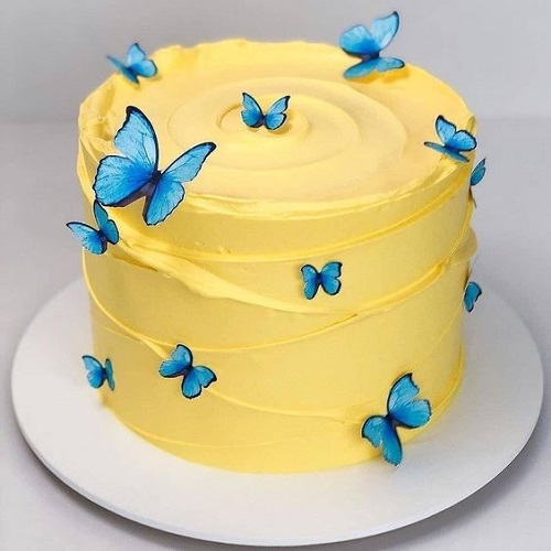 Minimalist Butterfly Cake Design