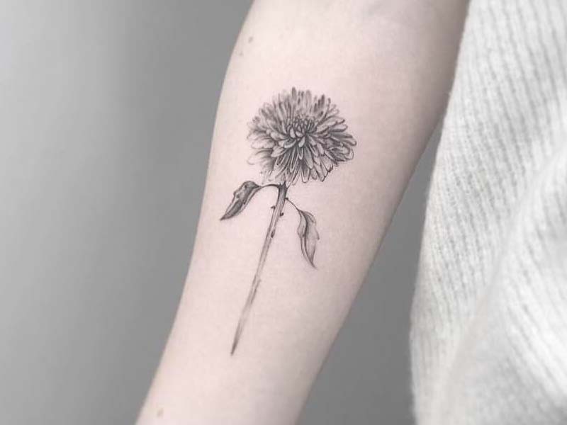 Chrysanthemum Flower Tattoo Designs