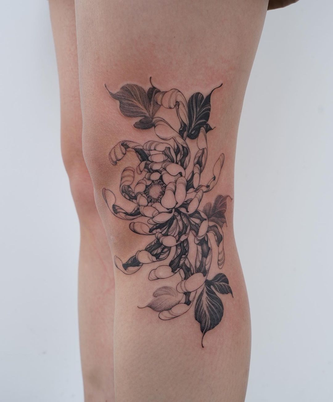 Monochrome Florachrysanthemum Knee Tattoo