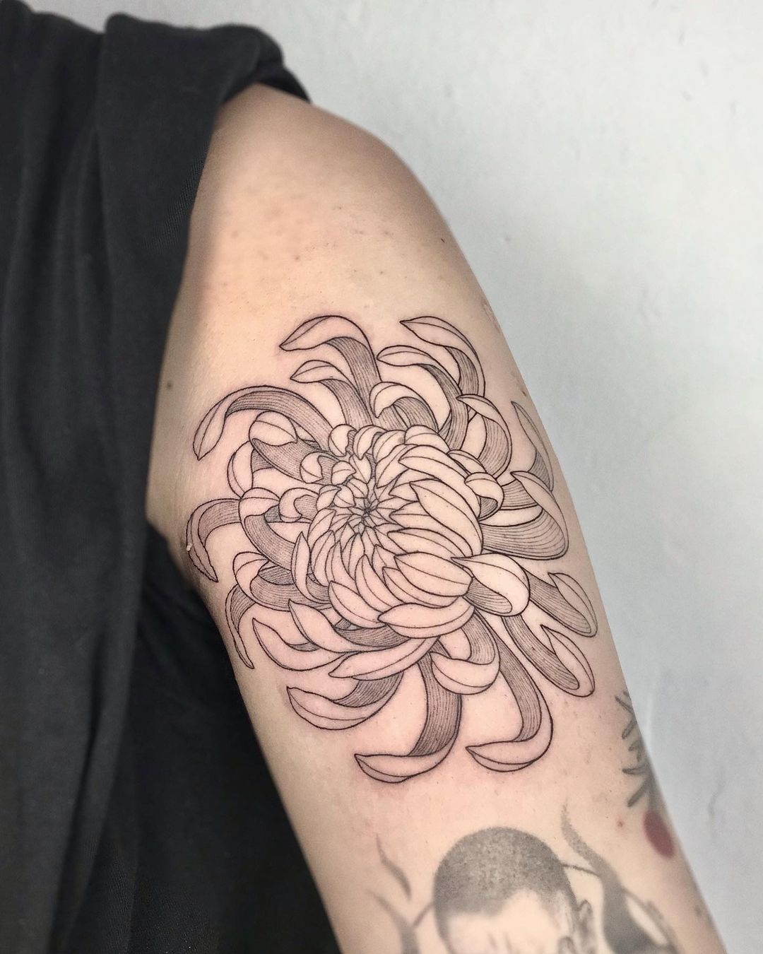 Petal Whorlssimple Chrysanthemum Tattoo