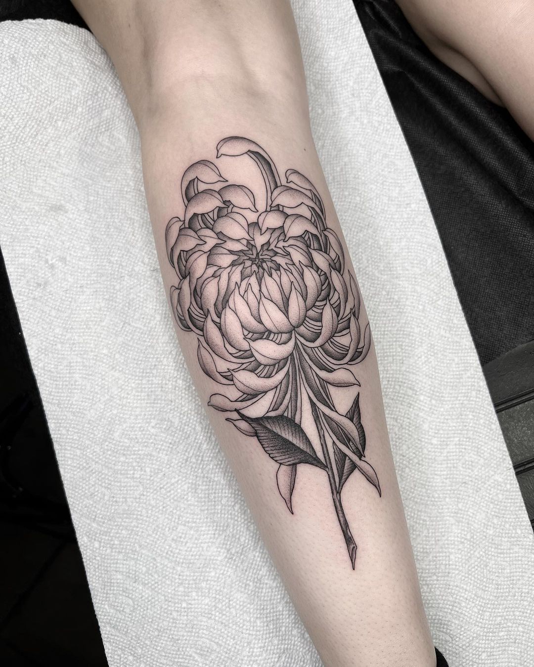 Shaded Elegancechrysanthemum Tattoo