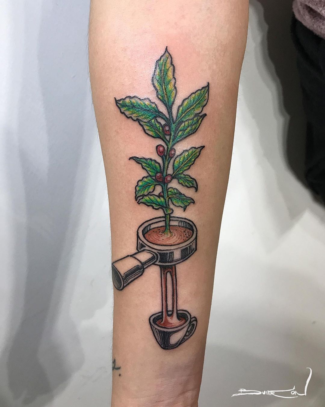 Vibrant Coffee Plant Tattoo