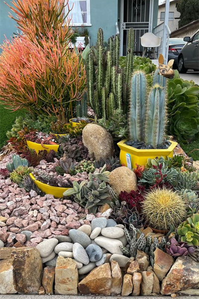 Desert Inspired Cactus Garden