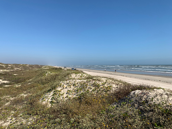 Padre Island National Seashore best vacation spots in texas