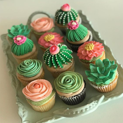 Succulent Cupcake Design