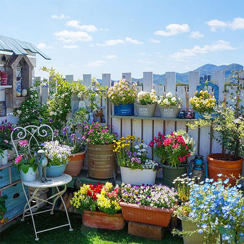 Urban Container Garden