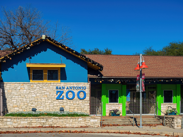 San Antonio Zoo Attractions