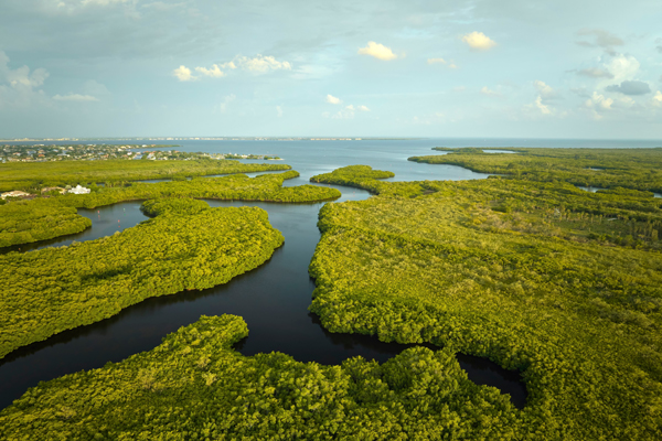 Everglades National Park Famous Place In Florida